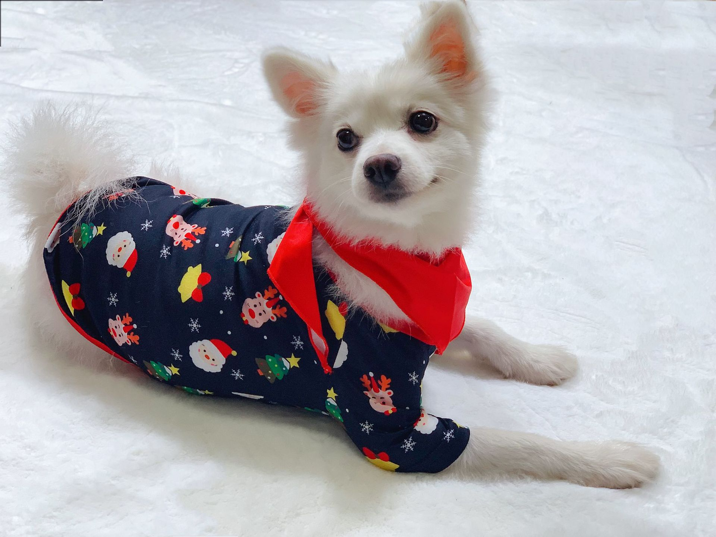 Family Christmas Matching Pajamas Set – Xmas Family PJs for Adults, Kids & Baby, Holiday Sleepwear Outfit for Christmas Photos & Gifts
